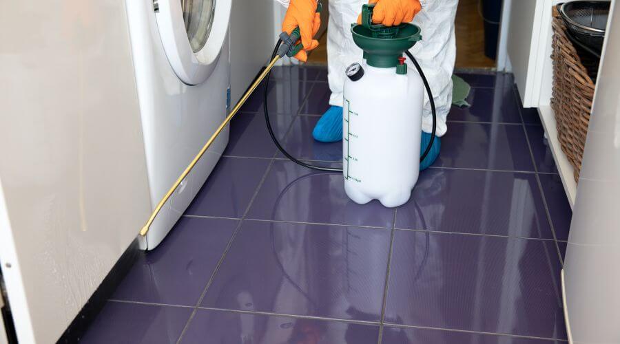 Why choose Mice Removal Paradise Valley Village for mice removal in Paradise Valley Village